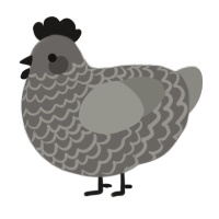A grey and ash chicken with a lace pattern