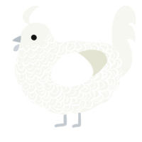 A white chicken with a double-lace pattern