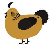 A gold and sable chicken with a neck-band pattern