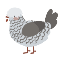 A mist and grey chicken with a lace pattern