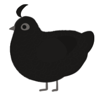 A sable chicken with a double-lace pattern