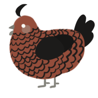 A russet and sable chicken with a lace pattern