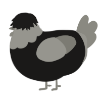 A sable and ash chicken with a head pattern