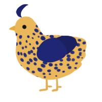 A honey and navy chicken with a speckle pattern