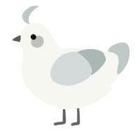 A white and silver chicken