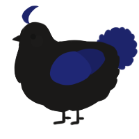 A sable and navy chicken