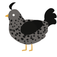 A grey and black chicken with a speckle pattern