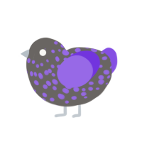 Co, a grey and blurple chicken with a speckle pattern