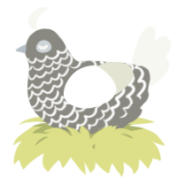 A ash and white chicken with a lace pattern