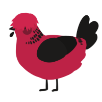 A crimson and sable chicken with a neck-band pattern