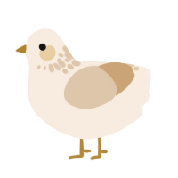 A cream and beige chicken with a neck-speckle pattern