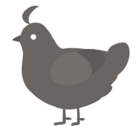 A grey chicken