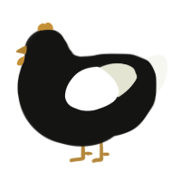A black and white chicken