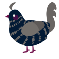 A tumblr and grey chicken with a bar pattern