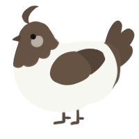 A white and bark chicken with a head pattern