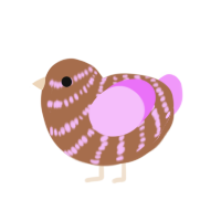 Pink mocha, a brown and lavender chicken with a bar pattern