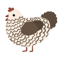 A cream and bark chicken with a lace pattern