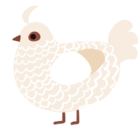 A cream chicken with a lace pattern