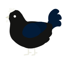 Minuit, a black and tumblr chicken