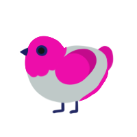 Teto, a silver and fuchsia chicken with a head pattern