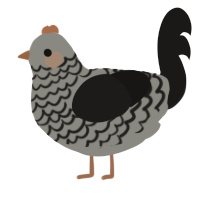 A ash and sable chicken with a lace pattern