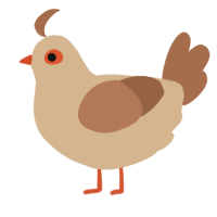 A beige and brown chicken