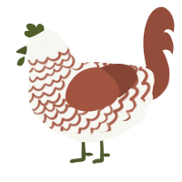 A white and russet chicken with a lace pattern