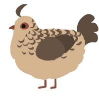 A beige and bark chicken with a half-lace pattern