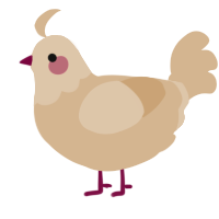 A beige chicken with a head pattern