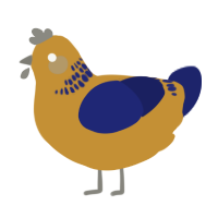 A gold and navy chicken with a neck-band pattern