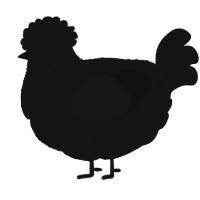 A black chicken with a lace pattern
