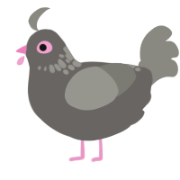 A grey and ash chicken with a neck-speckle pattern