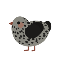 (unnamed), a ash and sable chicken with a speckle pattern