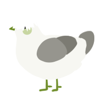 A white and ash chicken