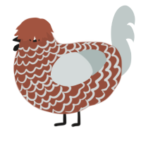 A russet and silver chicken with a lace pattern