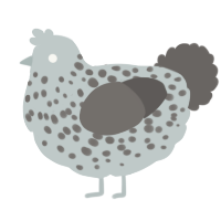 A silver and grey chicken with a speckle pattern