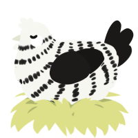 A white and sable chicken with a bar pattern