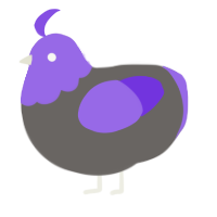 A grey and blurple chicken with a head pattern