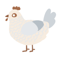 A cream and mist chicken with a lace pattern