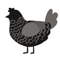 A sable and grey chicken with a lace pattern
