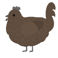 A bark chicken with a speckle pattern