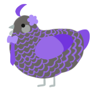A grey and blurple chicken with a lace pattern