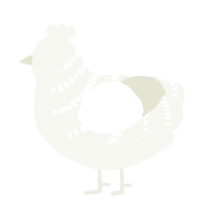 A white chicken with a half-bar pattern