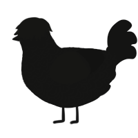 A black chicken with a double-lace pattern