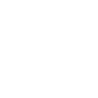 A white chicken with a half-lace pattern