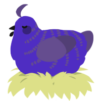 A indigo and overcast chicken with a half-bar pattern