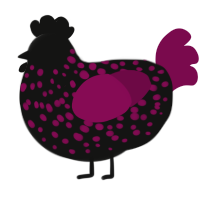 A black and wine chicken with a speckle pattern