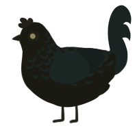 bluegrass, a black and tumblr chicken with a half-lace pattern