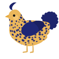 A honey and navy chicken with a speckle pattern
