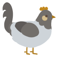 A mist and grey chicken with a head pattern
